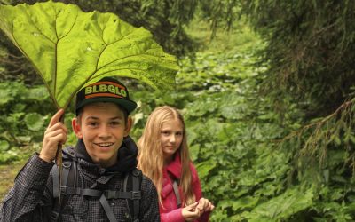 Another day at Sprachcamp Pfingsten